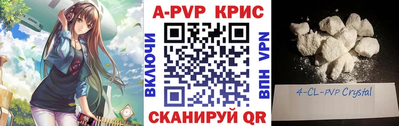 A PVP СК КРИС  Елабуга 