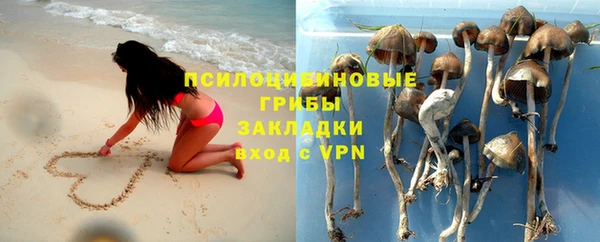 МДПВ Алзамай