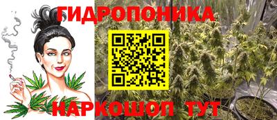 Альфа ПВП Бийск