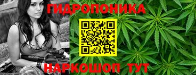 гидра Беслан